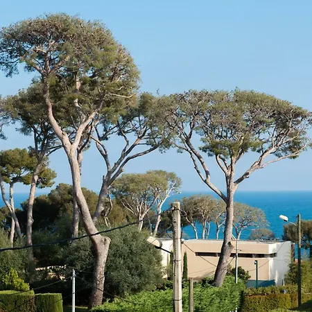 Superb Contemporain With Swimming Pool In Cap אנטיב