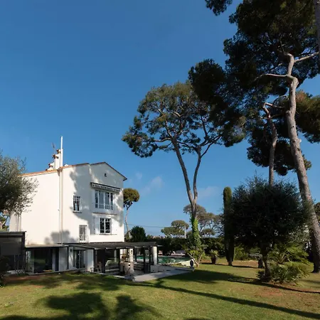 Superb Contemporain With Swimming Pool In Cap וילה אנטיב